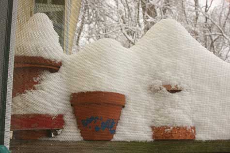 herb pots under the snow