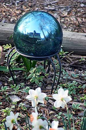 flowers in reflection ball