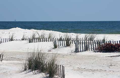 fort morgan sand dunes