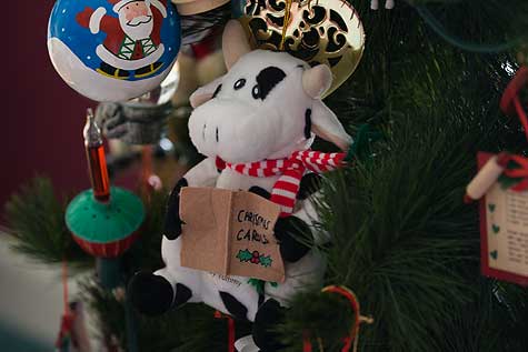 singing cow ornament