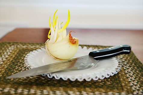 chihuly-onion-1