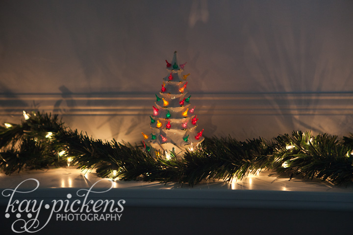 Christmas Decorations (3)