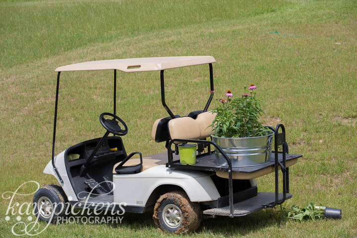 golf cart for planting the farm