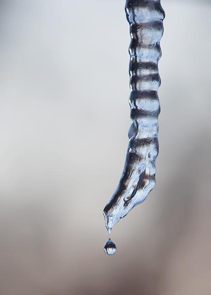 icicle-drops-5678