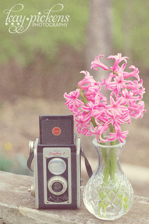 camera and flowers in vase