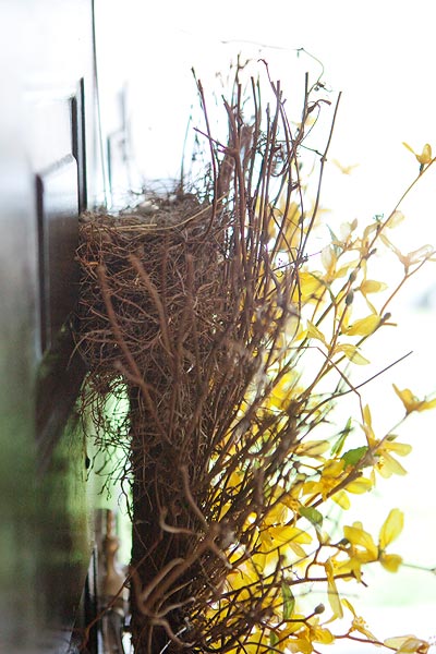 wreath-birds-nest-6040